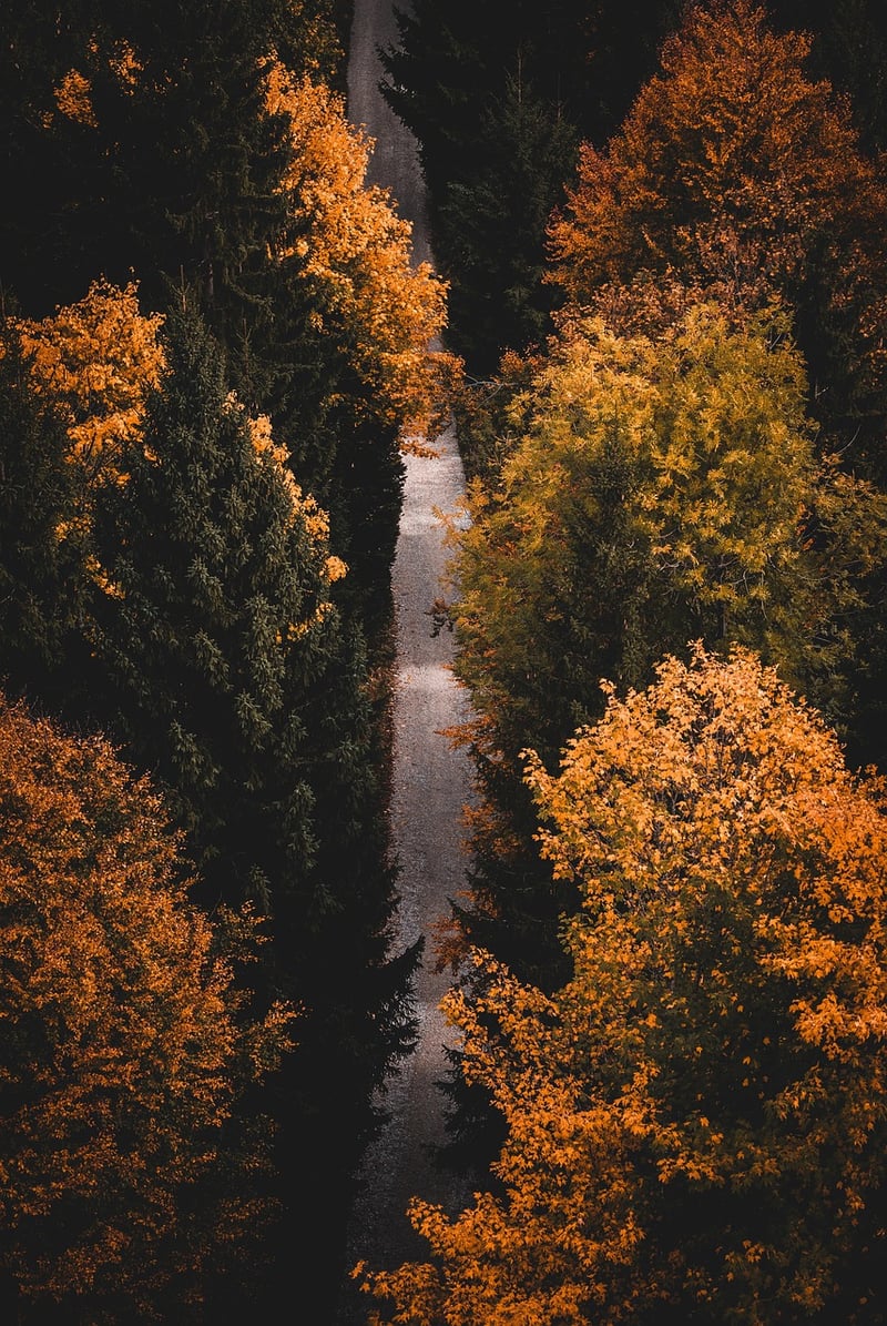 Banff National Park